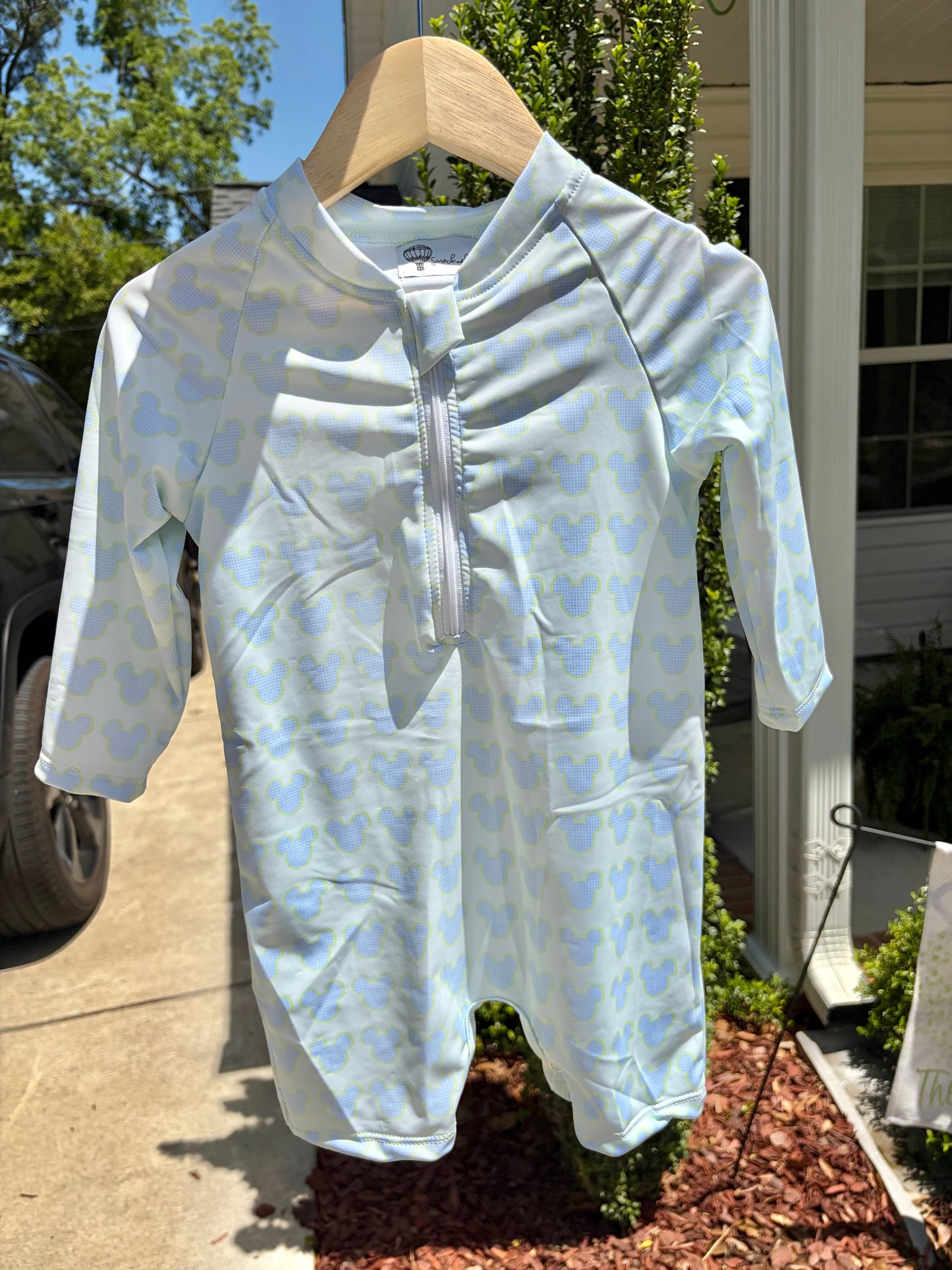 Gingham Mouse Rash Guard